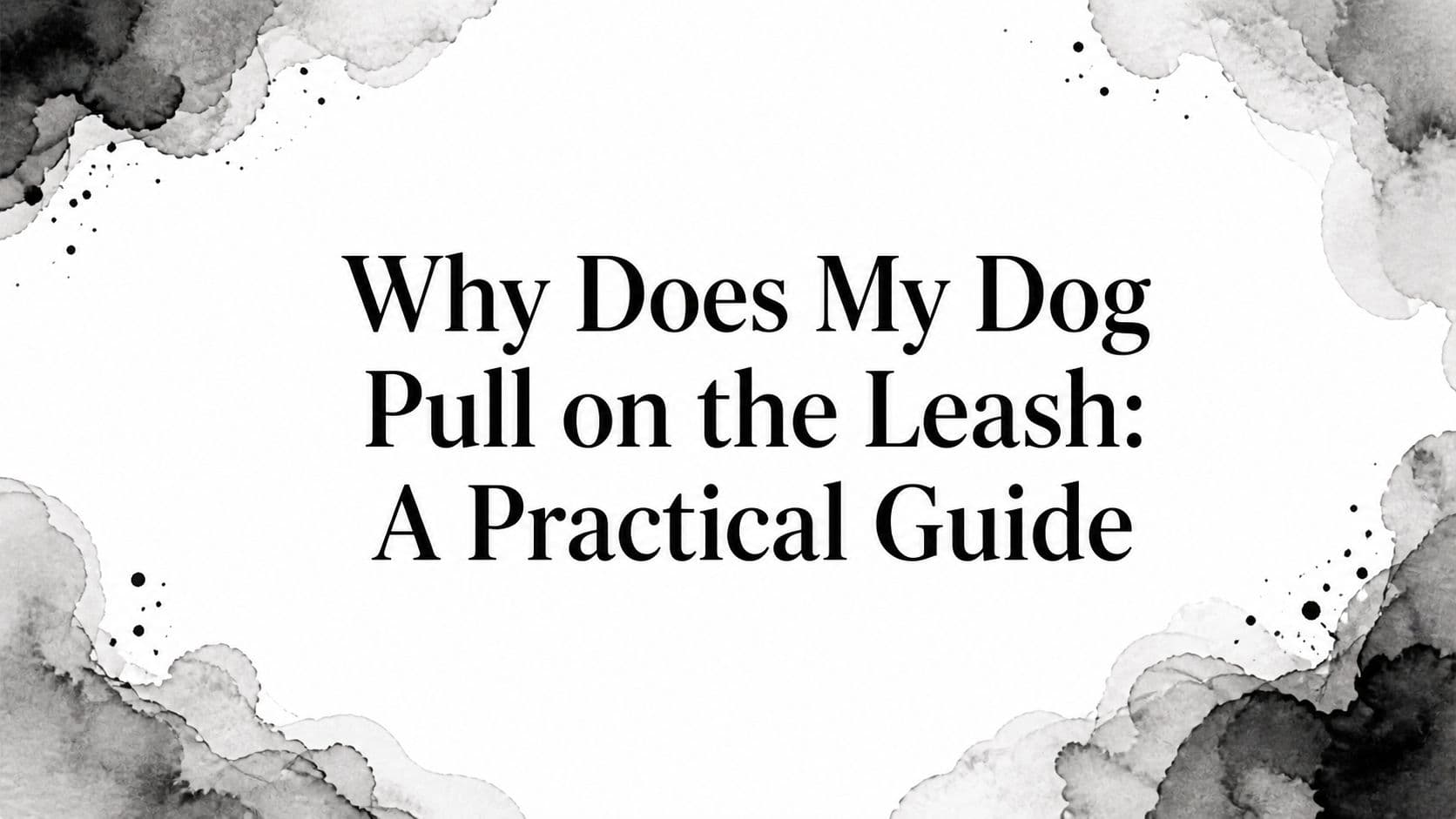 Why Does My Dog Pull on the Leash: A Practical Guide