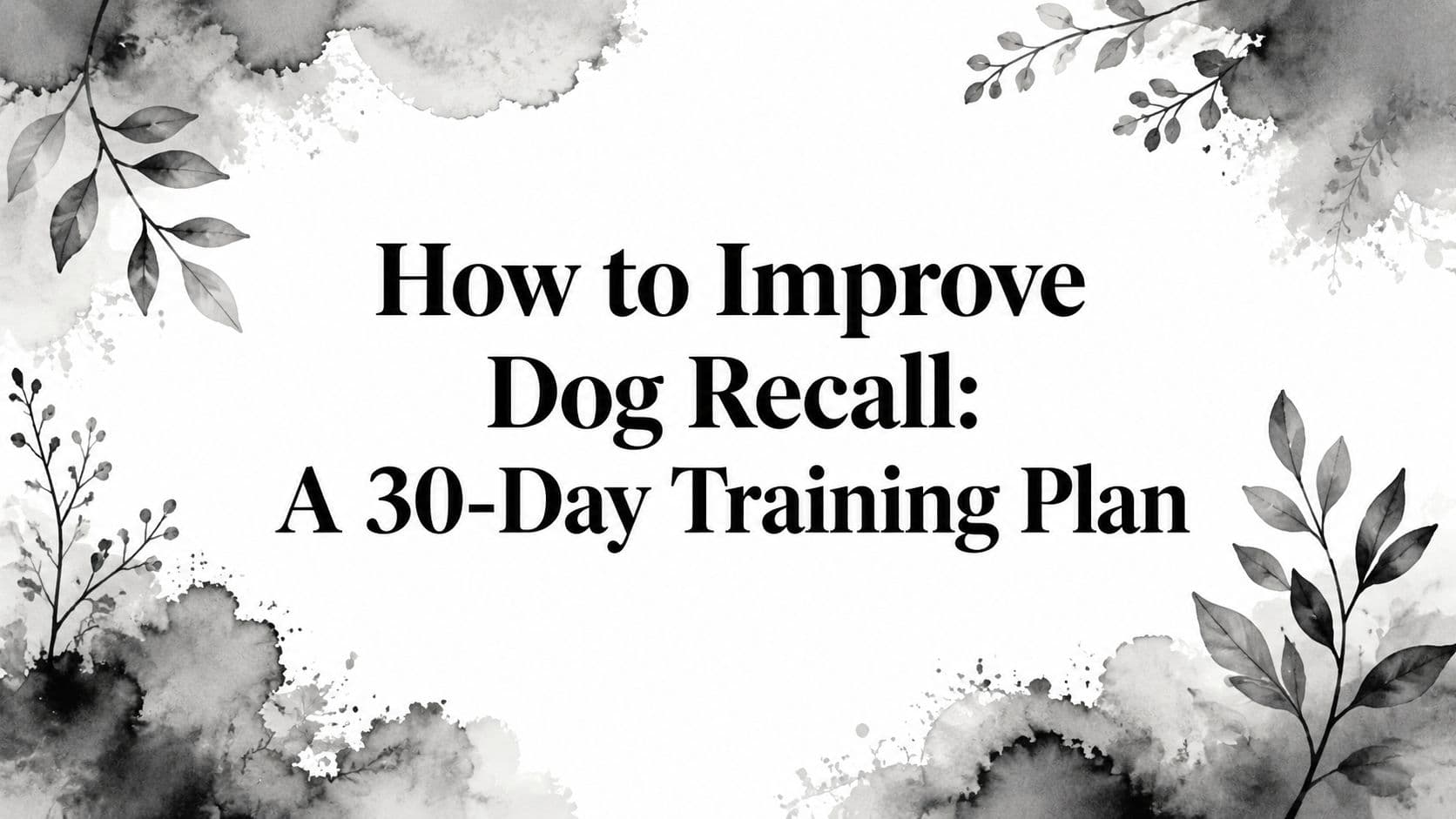 How to Improve Dog Recall: A 30-Day Training Plan