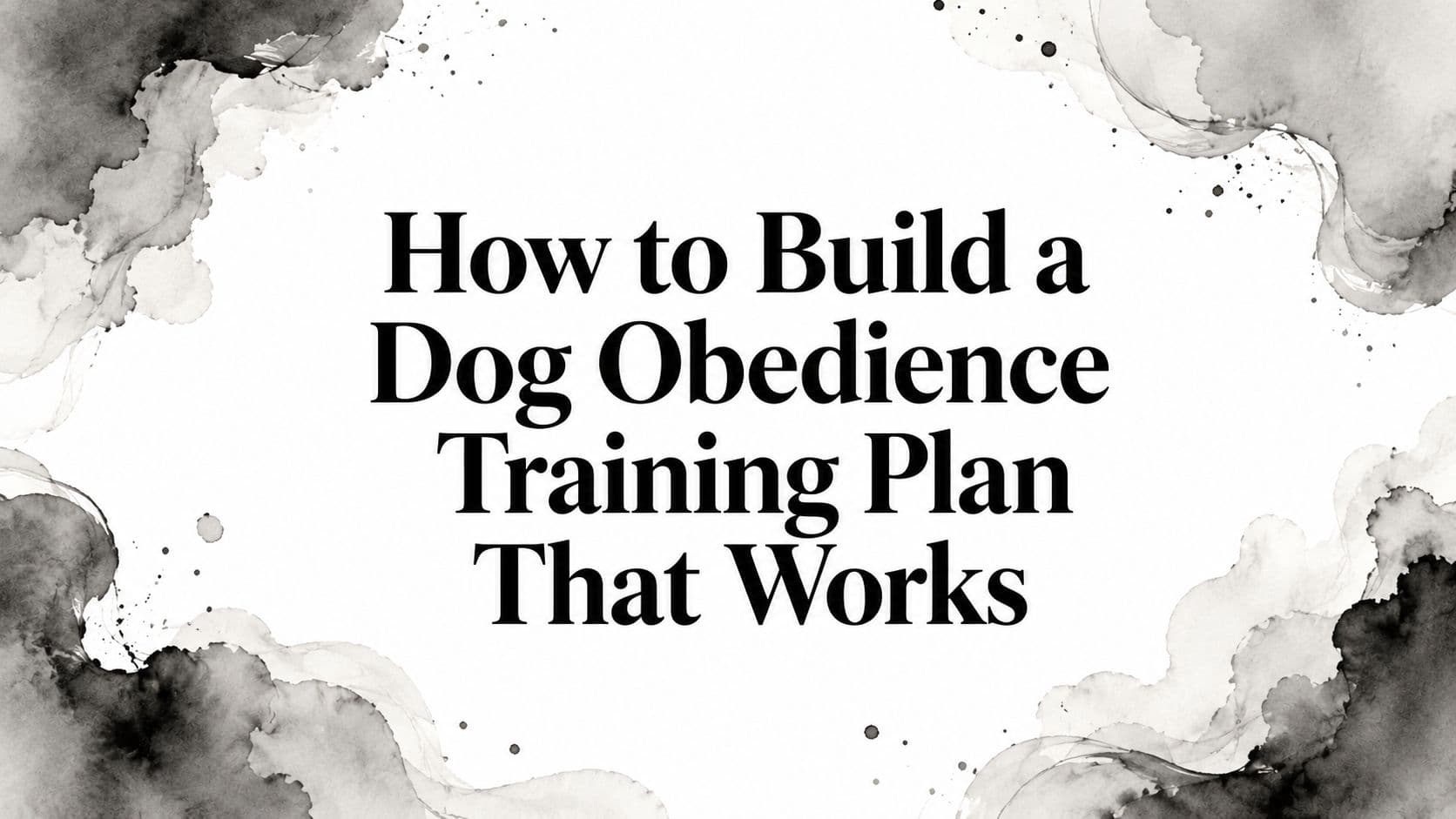 How to Build a Dog Obedience Training Plan That Works