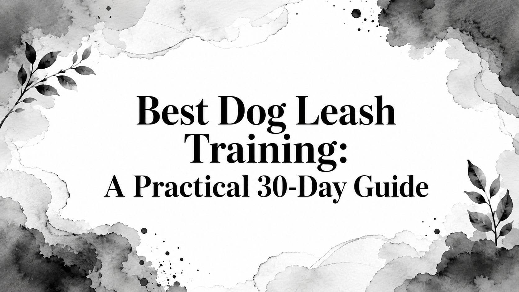 Best Dog Leash Training: A Practical 30-Day Guide