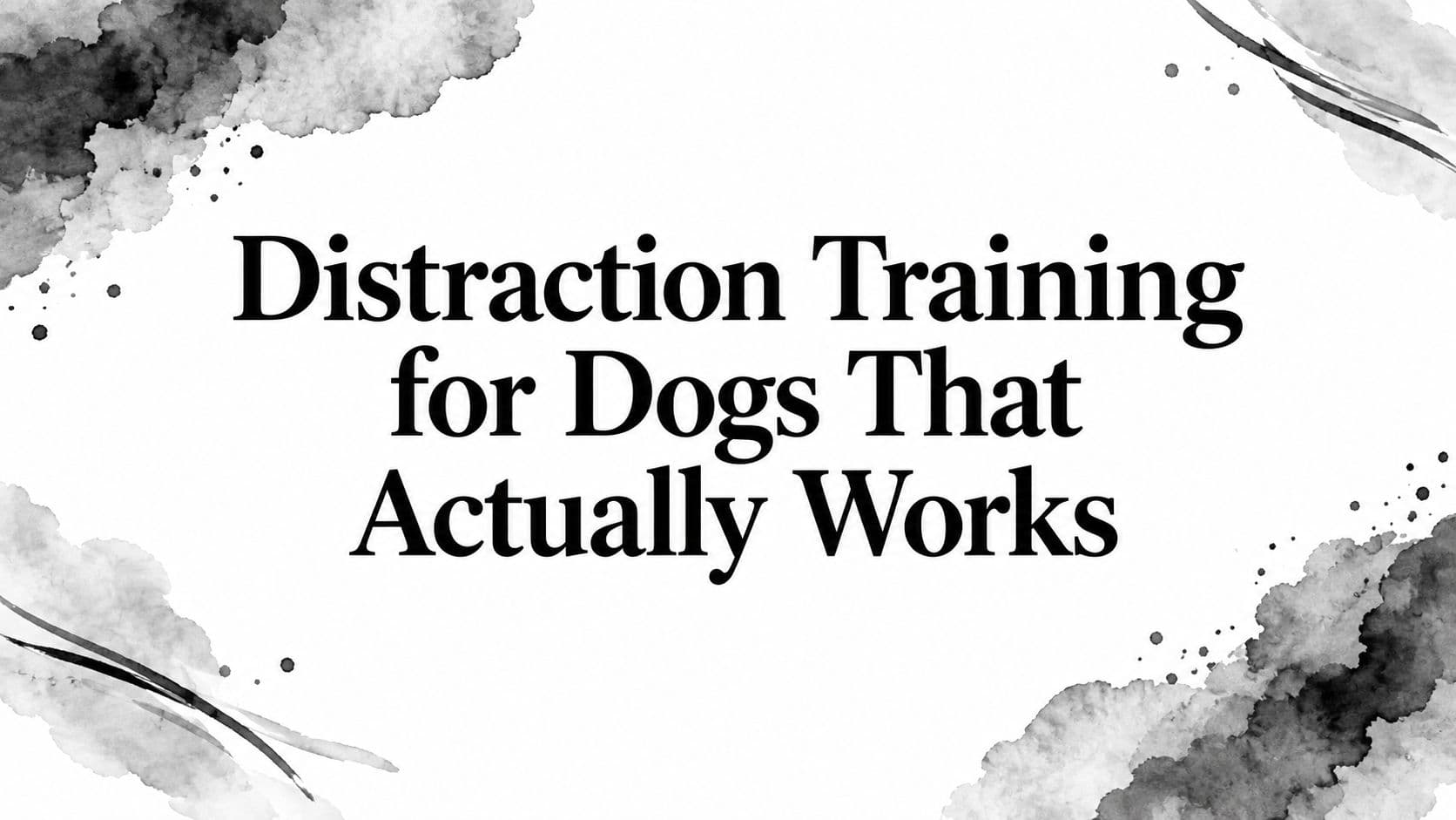 Distraction Training for Dogs That Actually Works