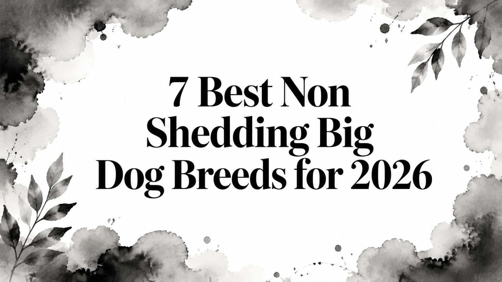 7 Best Non Shedding Big Dog Breeds for 2026